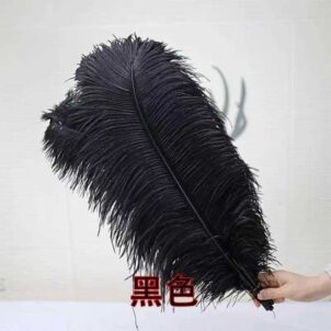 Piórka dekoracyjne czarne naturalne 45-50 cm 10szt